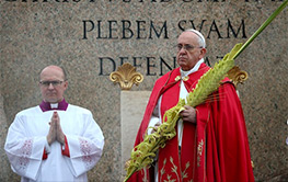 Il Papa alla Domenica delle Palme